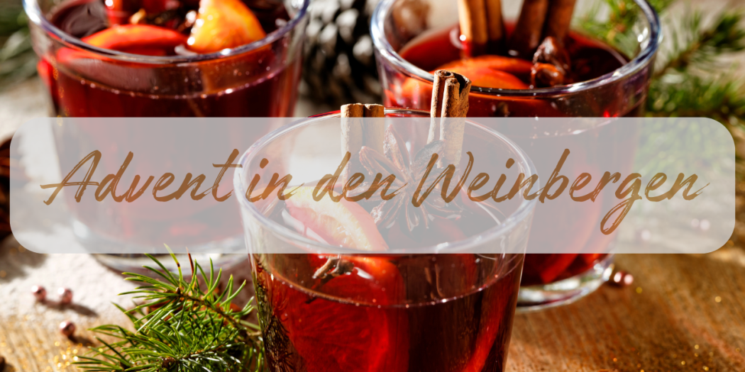 Advent in den Weinbergen