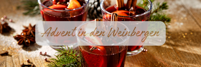 Advent in den Weinbergen