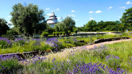 Elbauenpark Magdeburg mit Jahrtausendturm