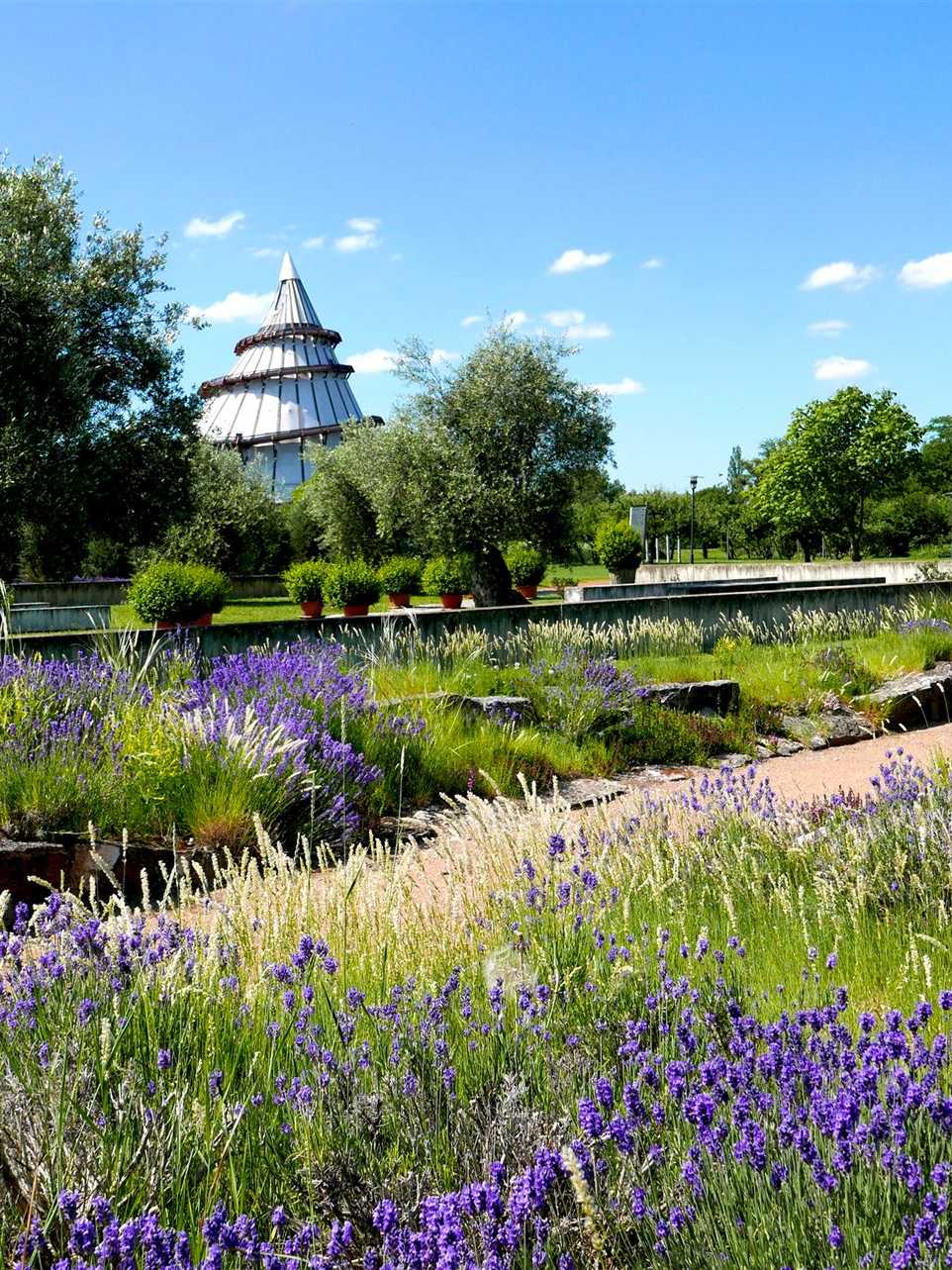 Elbauenpark Magdeburg mit Jahrtausendturm