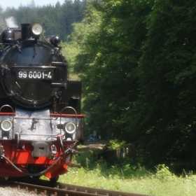 Selketalbahn in Alexisbad