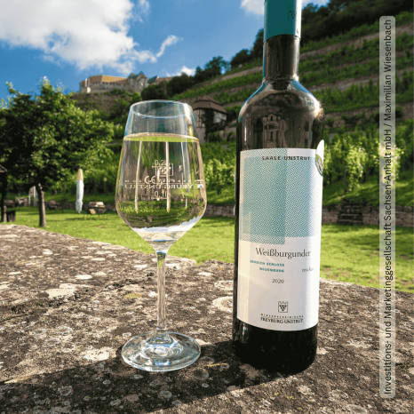 Weinglas und Flasche Weißburgunder beim Winzerfest in Freyburg, umgeben von Weinbergen mit Schloss Neuenburg im Hintergrund.