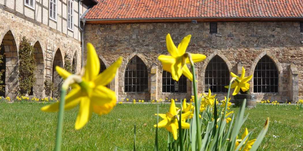 Frühling Kloster Michaelstein