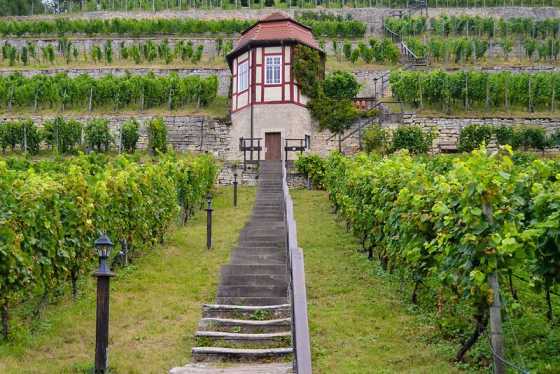 Fachwerkhäuschen im herzoglichen Weinberg in Freyburg/Unstrut