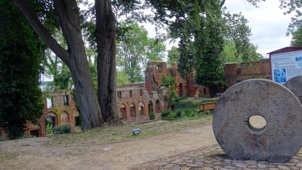 Romanische Klosterruine Arendsee mit grasbewachsenem Innenhof 