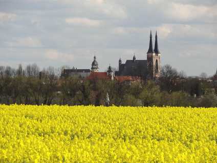 Köthen_in_Anhalt_Silhouette_Rathaus_Schloss_Rapsfeld_Aufnahme_und_Copyright_MEH_Bergmann
