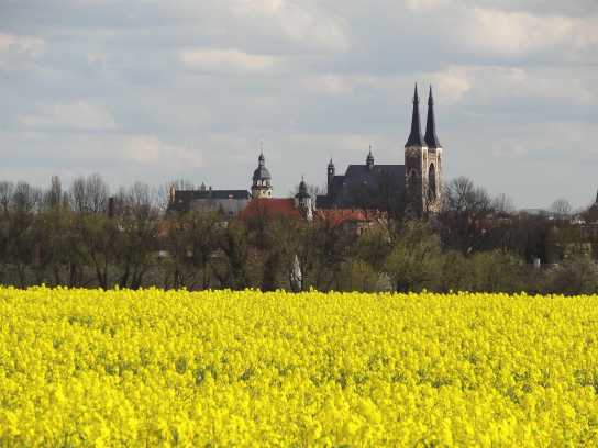 Köthen_in_Anhalt_Silhouette_Rathaus_Schloss_Rapsfeld_Aufnahme_und_Copyright_MEH_Bergmann