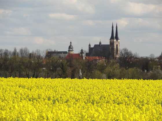Köthen_in_Anhalt_Silhouette_Rathaus_Schloss_Rapsfeld_Aufnahme_und_Copyright_MEH_Bergmann
