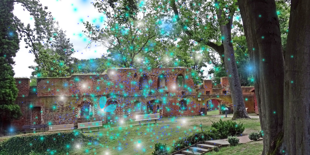 Lichtblütenfestival Altmark