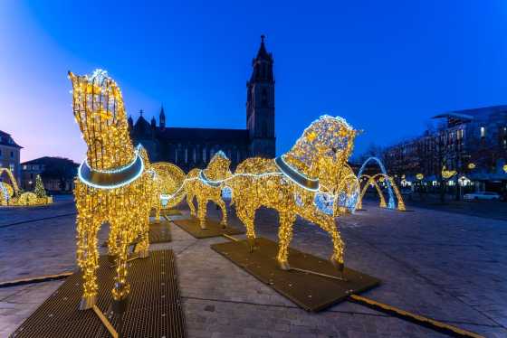 Lichterwelt_Magdeburg_©_www_AndreasLander_de