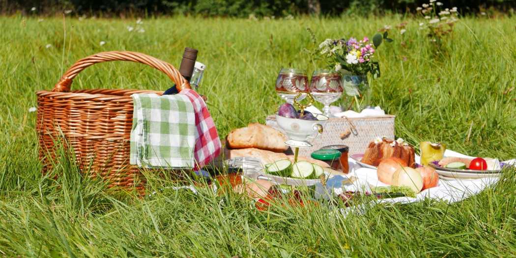 Picknicktag2_Gartenträume Sachsen-Anhalt e. V