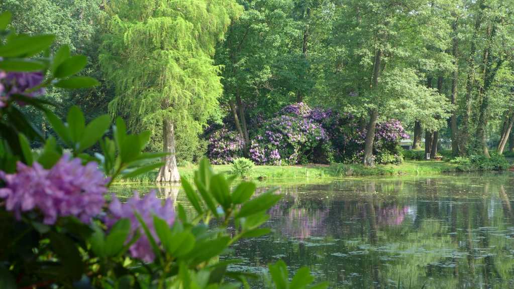Schlosspark Krumke - Gartenträume Sachsen-Anhalt e. V