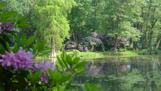 Schlosspark Krumke - Gartenträume Sachsen-Anhalt e. V