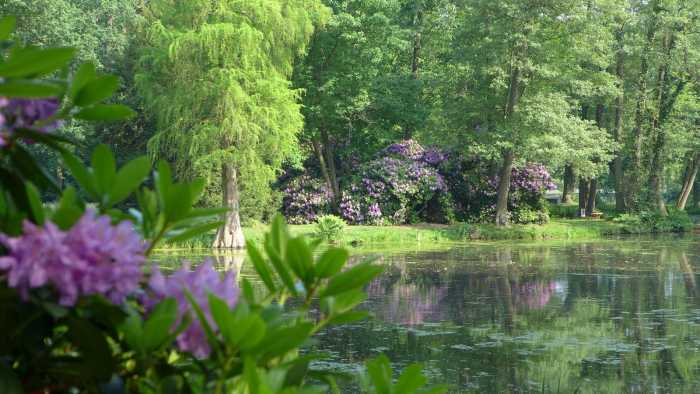 Schlosspark Krumke - Gartenträume Sachsen-Anhalt e. V