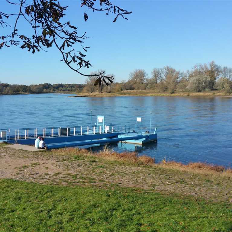Blick auf die Elbe am Kornhaus Dessau