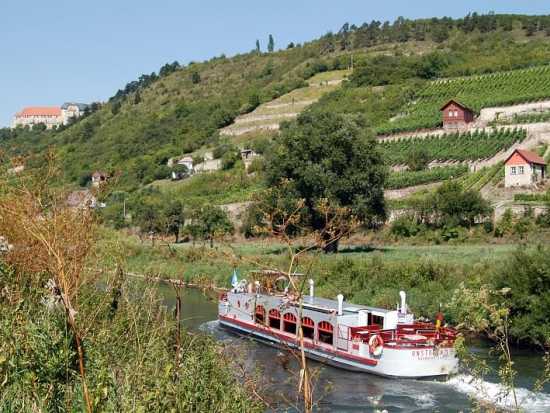 Weinregion Saale-Unstrut