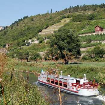 Weinregion Saale-Unstrut