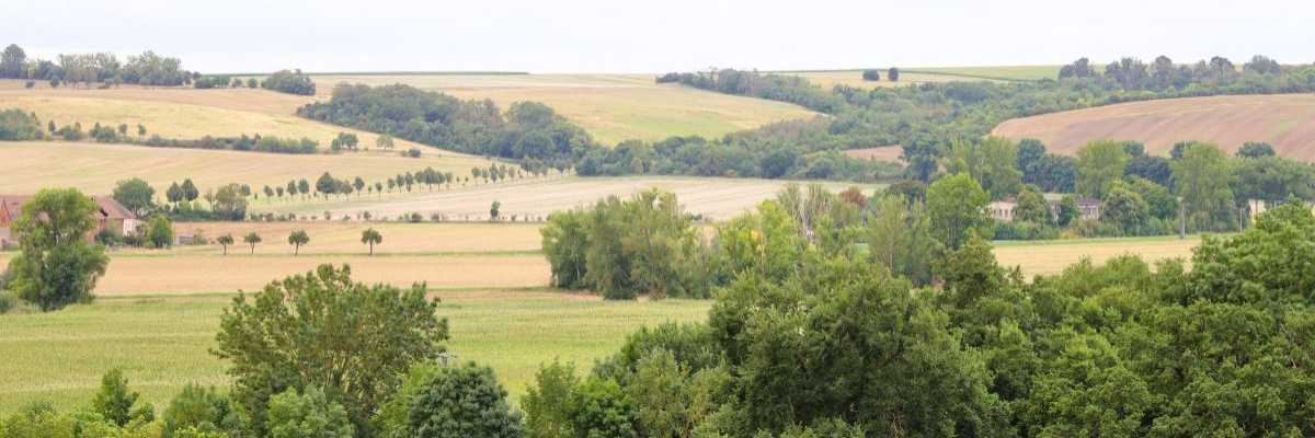 Landschaft bei Wettin-Löbejün mit Feldern, Alleen und bewaldeten Hügeln