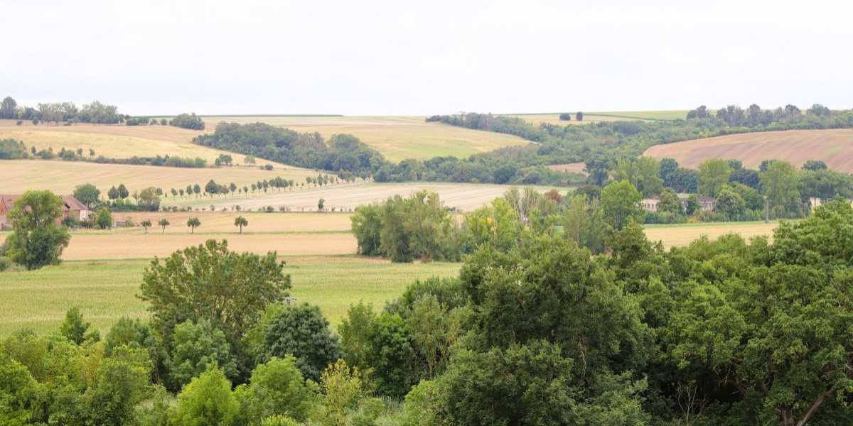 Landschaft bei Wettin-Löbejün mit Feldern, Alleen und bewaldeten Hügeln