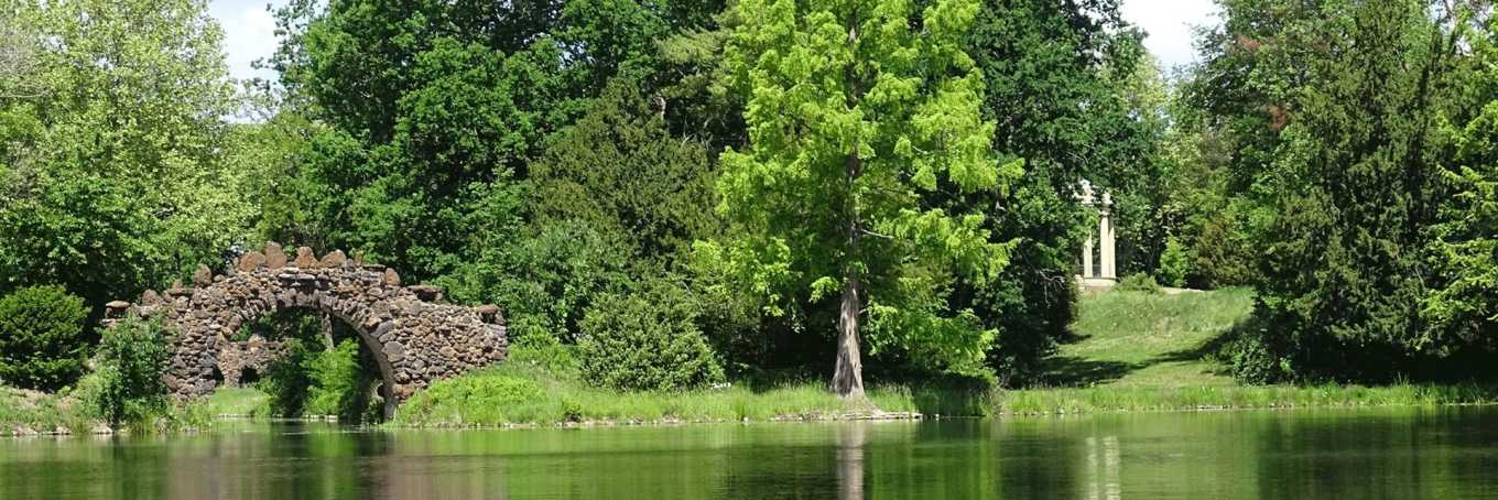 Blick auf Brücke und Tempel im Wörlitzer Park